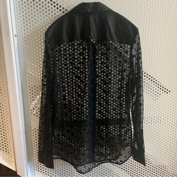 Lord & Taylor Sheer, Button-down, Collared Blouse Size XL Free with Purchase - Picture 5 of 10